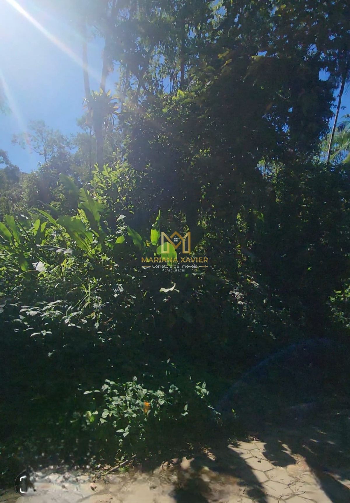 Terreno, 1780 m² - Foto 6
