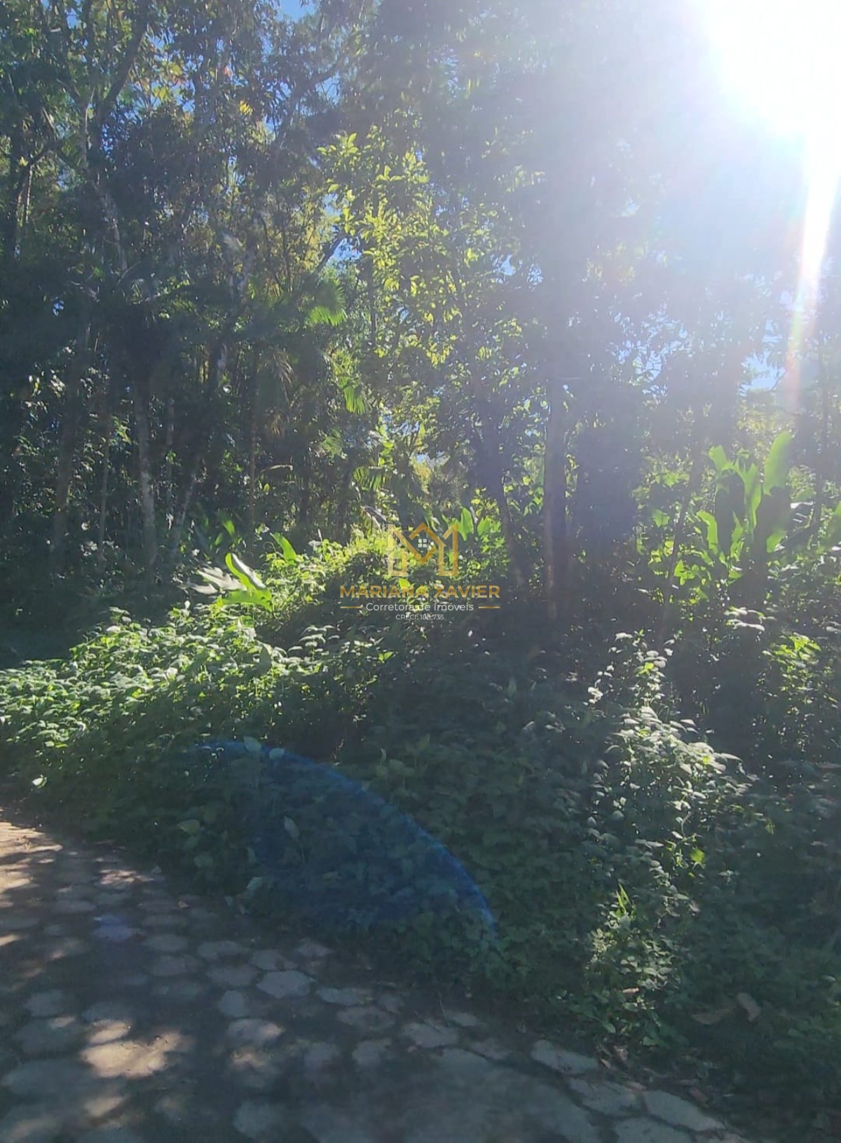 Terreno, 1780 m² - Foto 7
